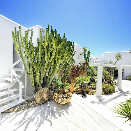 Kivotos Mykonos - Preferred & מלון 5*