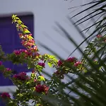 Kivotos Mykonos - Preferred & 5*